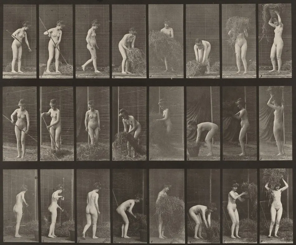 Plate Number 499. Raking and packing hay by Eadweard Muybridge