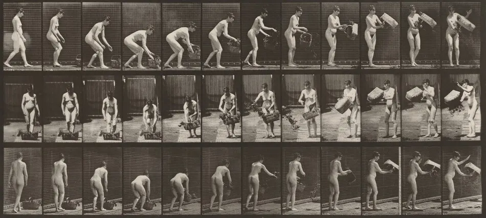 Plate Number 213. Lifting and emptying basket by Eadweard Muybridge
