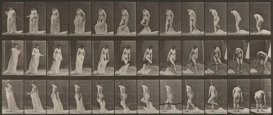 Plate Number 430. Toilet; taking off clothes by Eadweard Muybridge