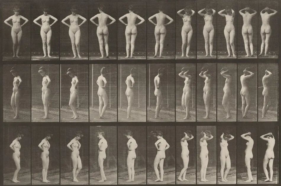 Plate Number 531. Various poses by Eadweard Muybridge