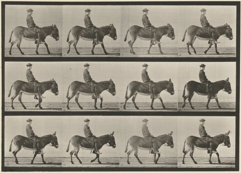 Plate Number 665. Ass; walking; bareback; a boy riding, Jennie by Eadweard Muybridge