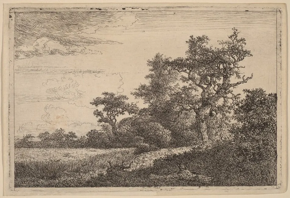 Grain Field at the Edge of a Wood (Corn Field) by Jacob van Ruisdael
