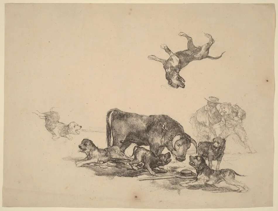 Bull Attacked by Dogs by Francisco Goya