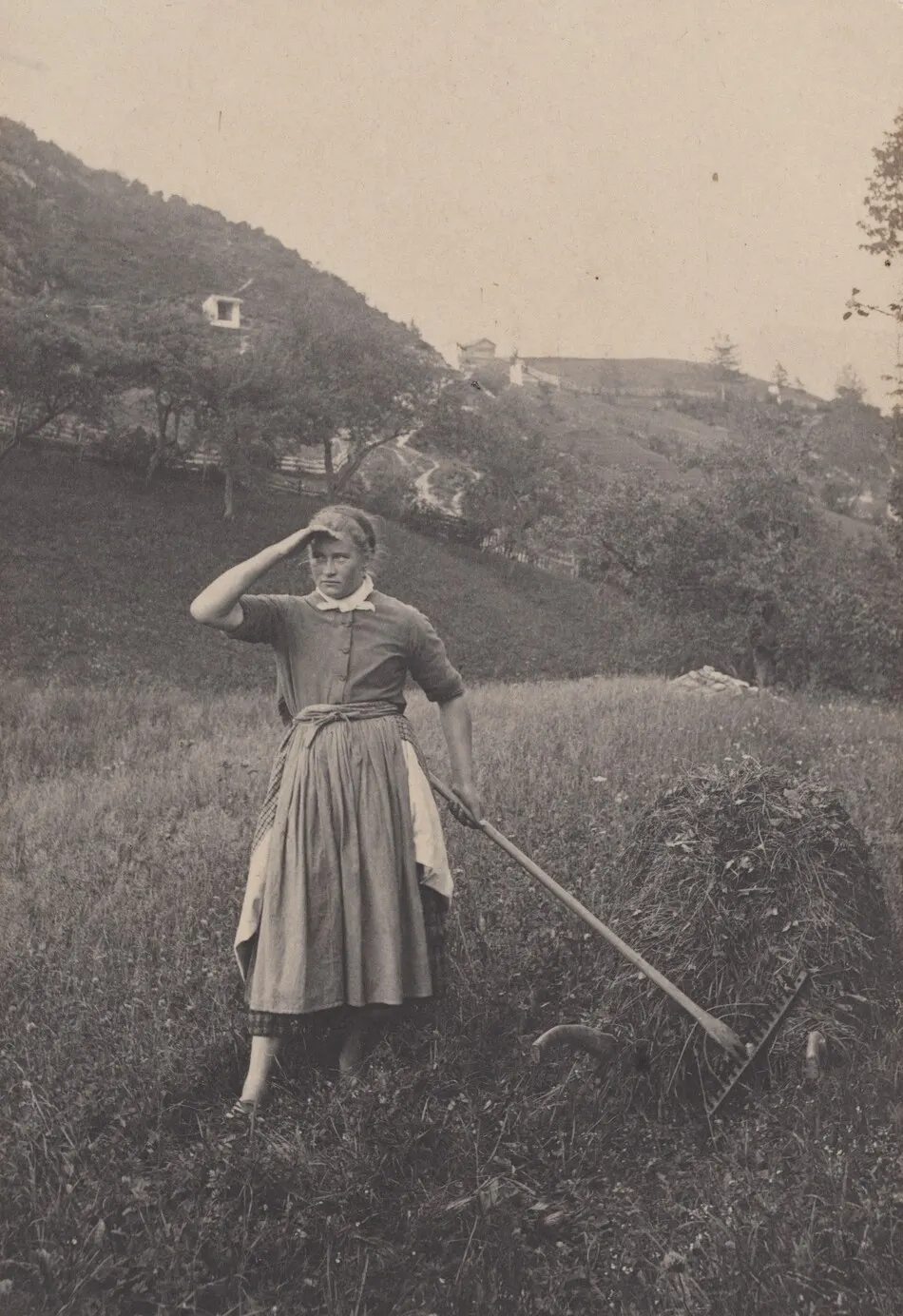 The Harvest, Mittenwald by Alfred Stieglitz