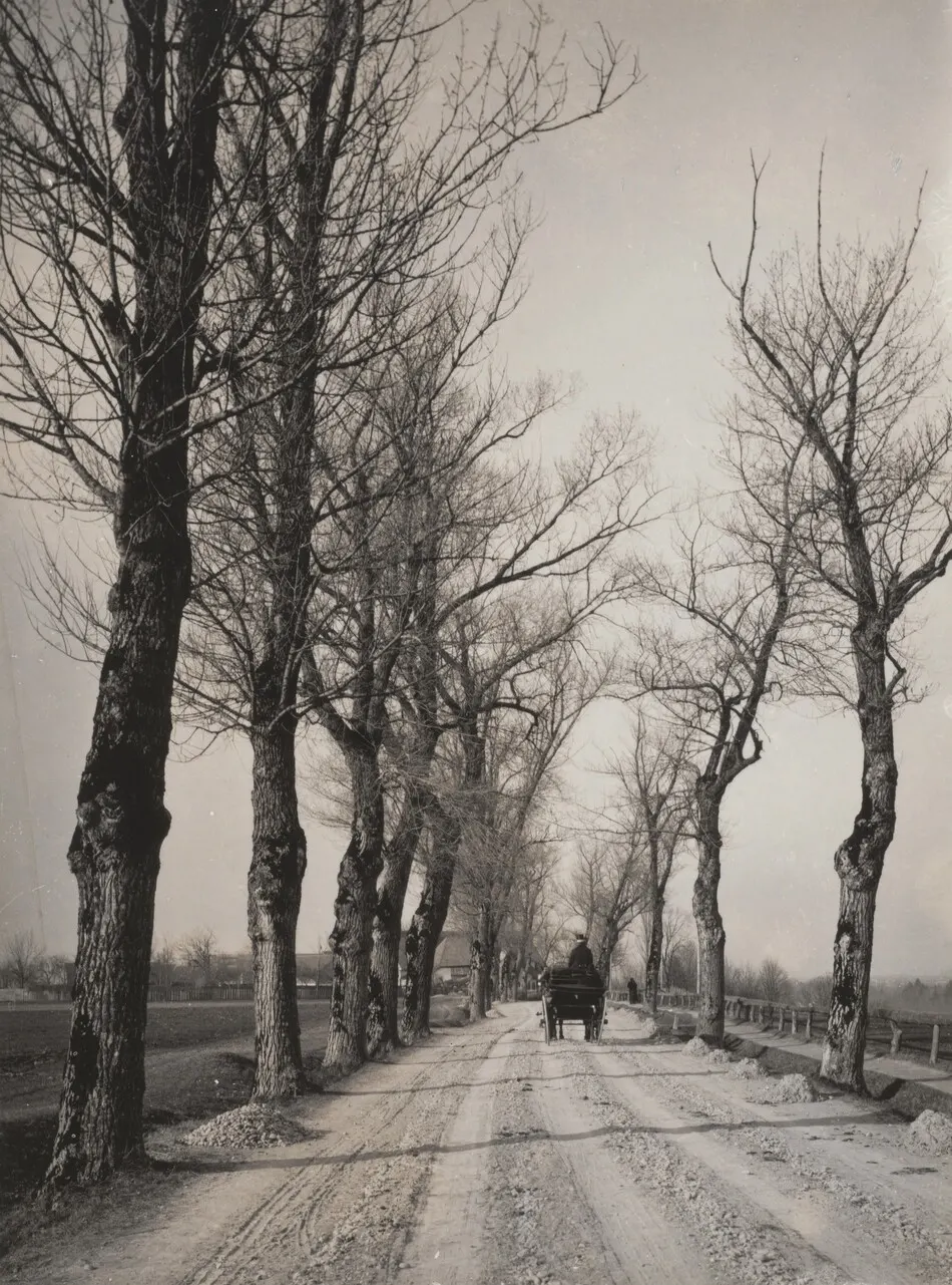 November Days by Alfred Stieglitz