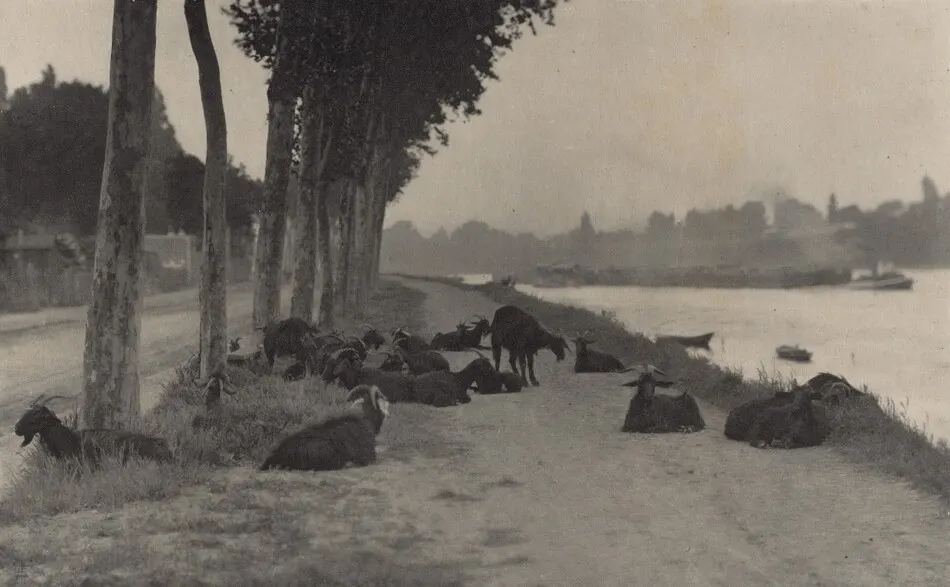 A Decorative Panel by Alfred Stieglitz