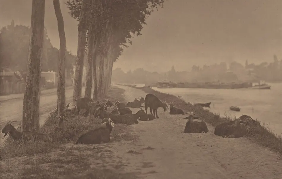 A Decorative Panel by Alfred Stieglitz