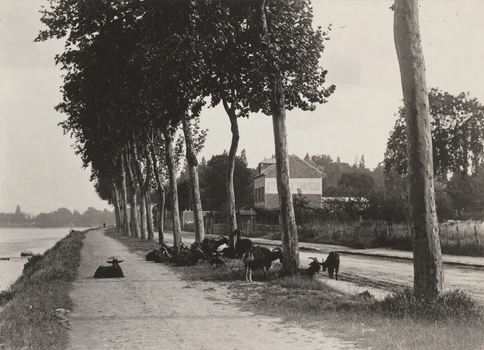 Homeward by Alfred Stieglitz
