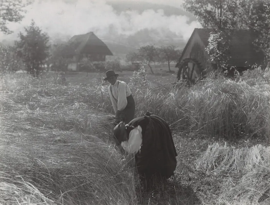 Harvesting, Black Forest by Alfred Stieglitz
