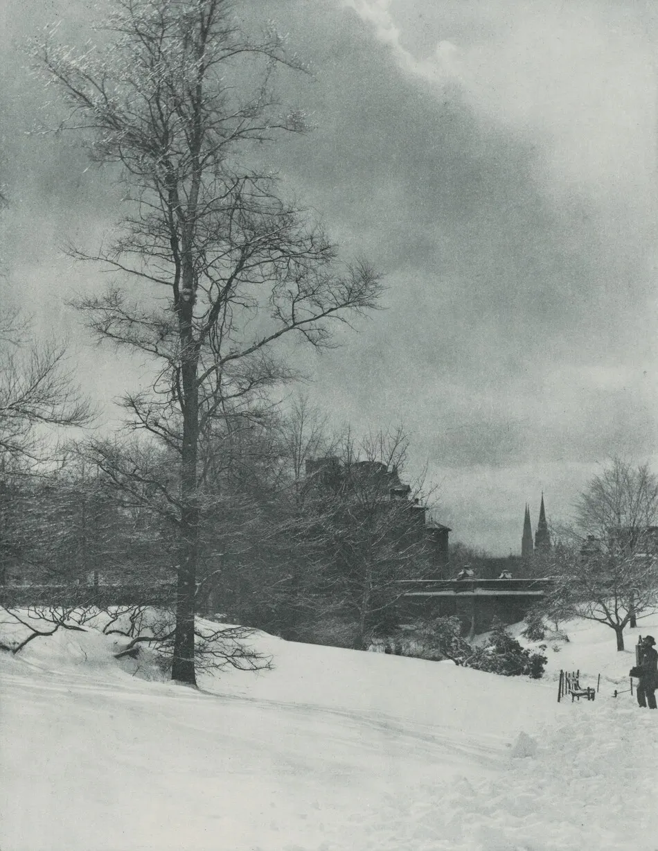 A Winter Sky—Central Park by Alfred Stieglitz