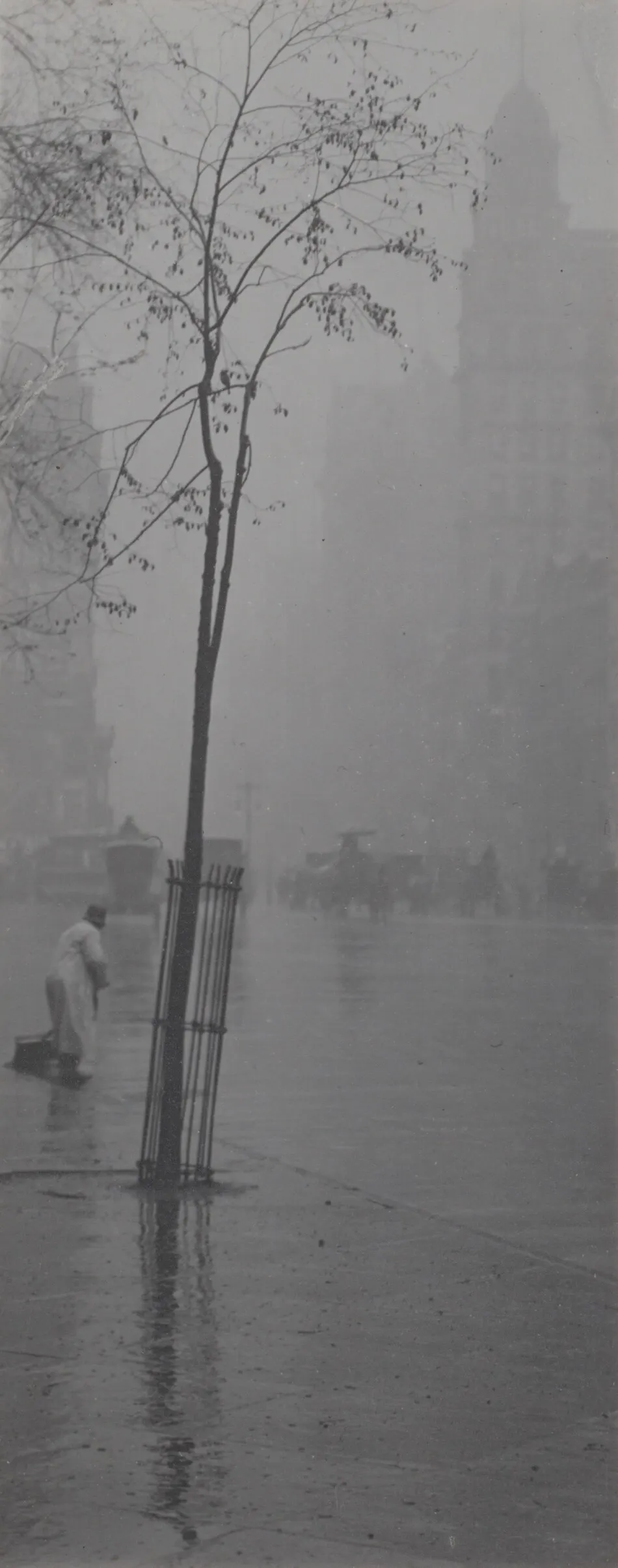 Street Sweeper and Little Tree by Alfred Stieglitz