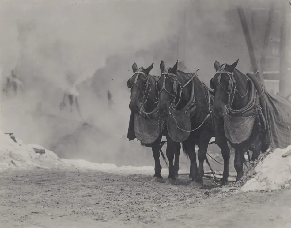 Horses, New York by Alfred Stieglitz