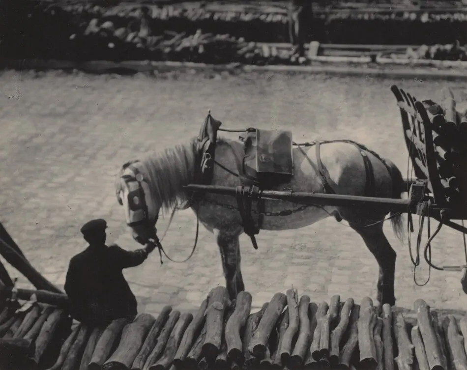 A Snapshot, Paris by Alfred Stieglitz