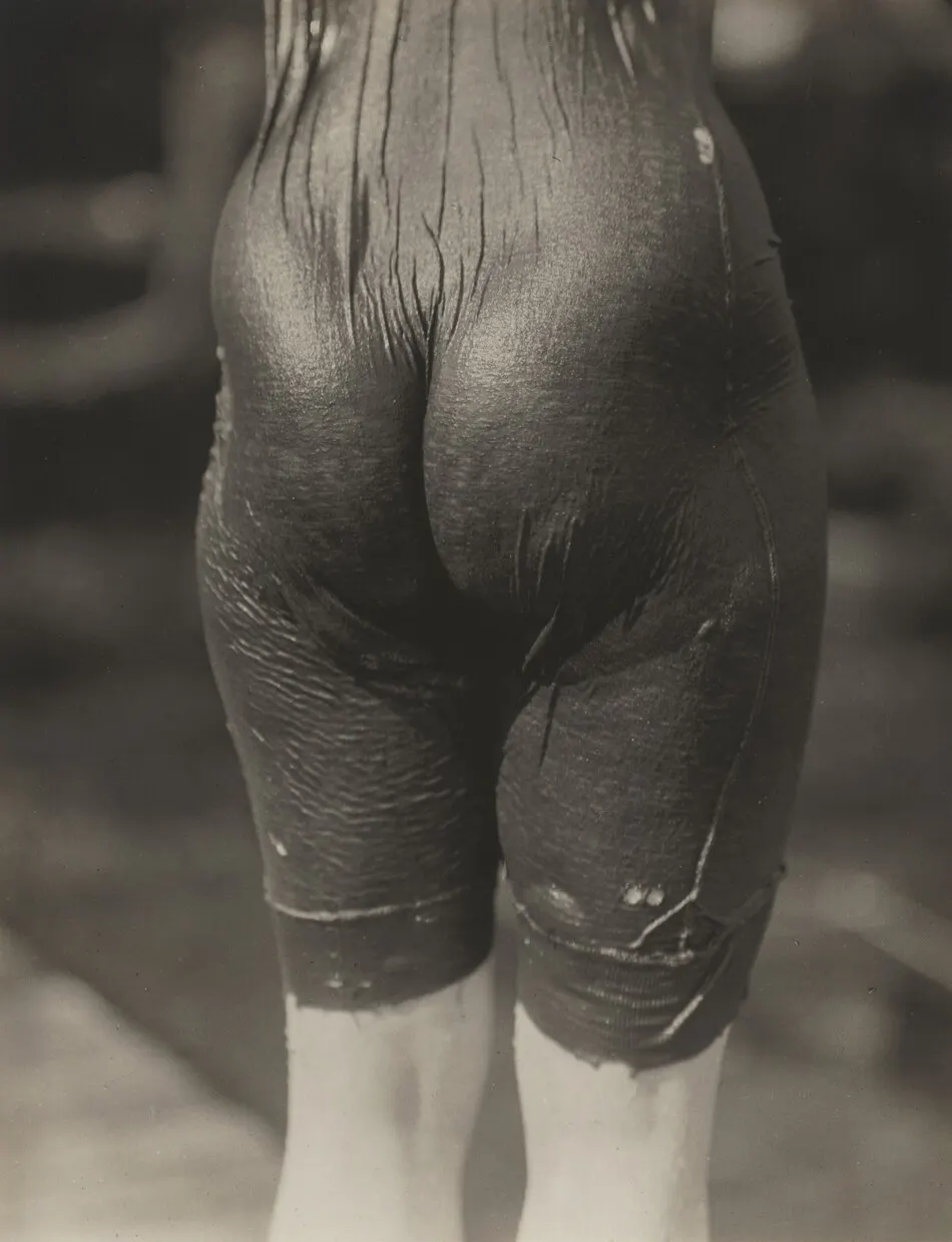 Ellen Koeniger, Lake George by Alfred Stieglitz