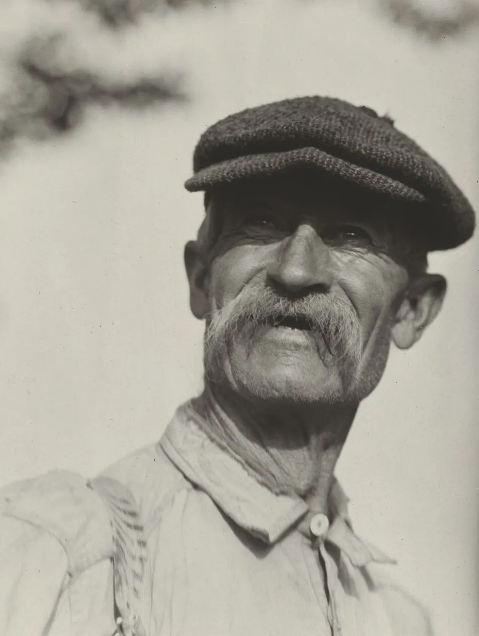 Bly by Alfred Stieglitz