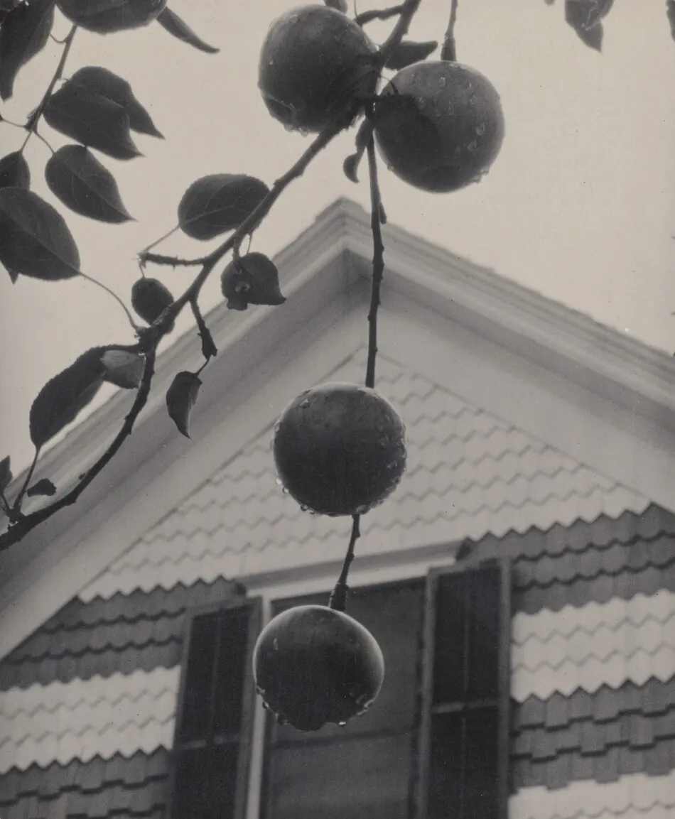 Gable and Apples by Alfred Stieglitz