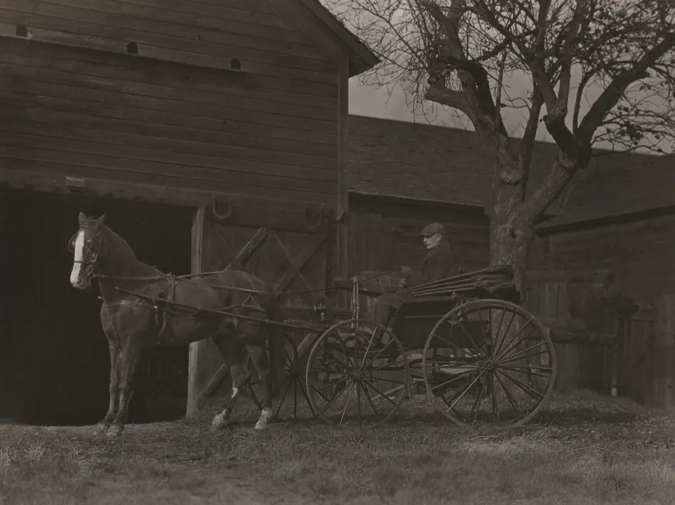 Horse and Carriage by Alfred Stieglitz