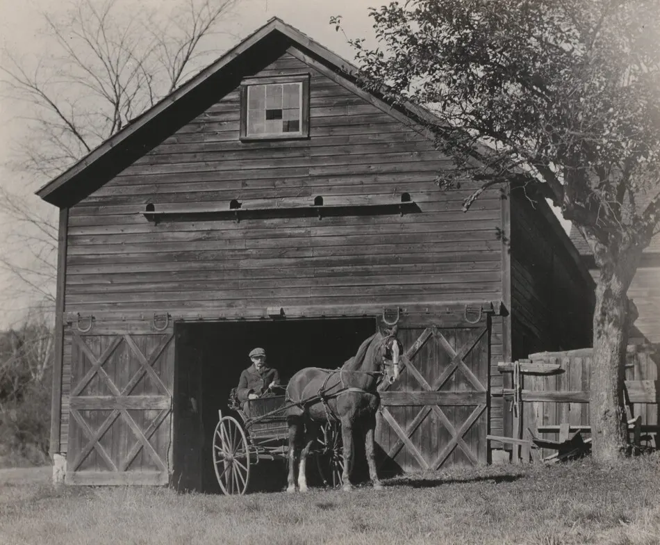 Horse and Carriage by Alfred Stieglitz