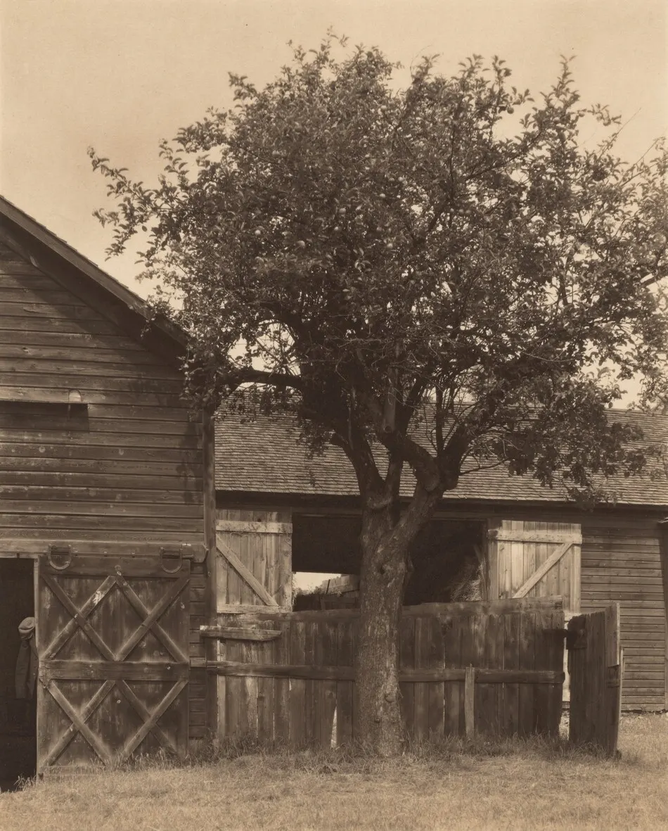 The Barn by Alfred Stieglitz
