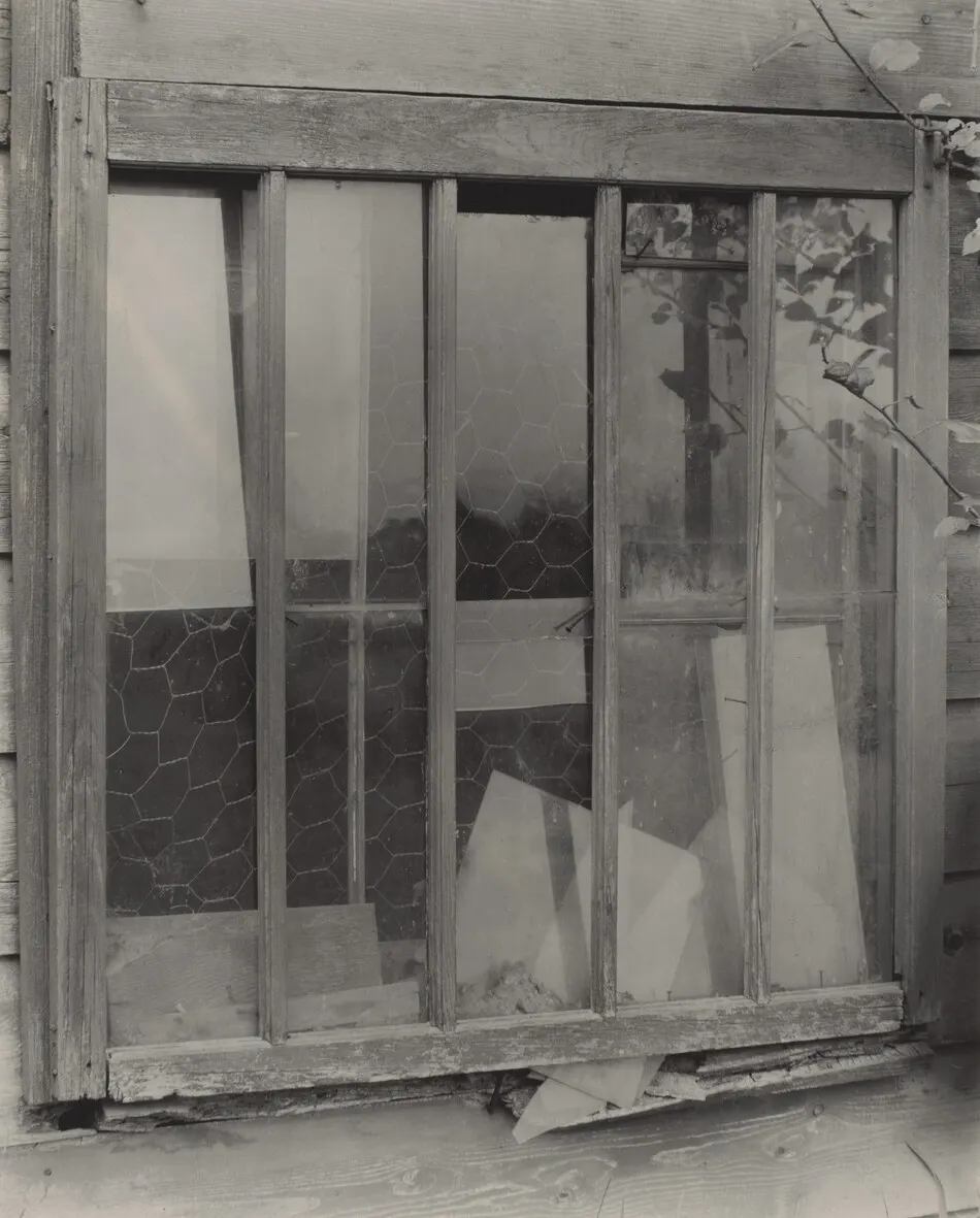 Window by Alfred Stieglitz