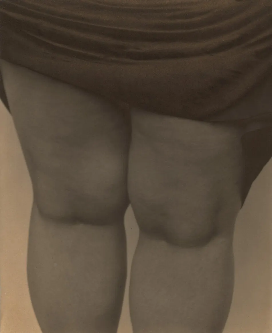 Legs, Lake George by Alfred Stieglitz