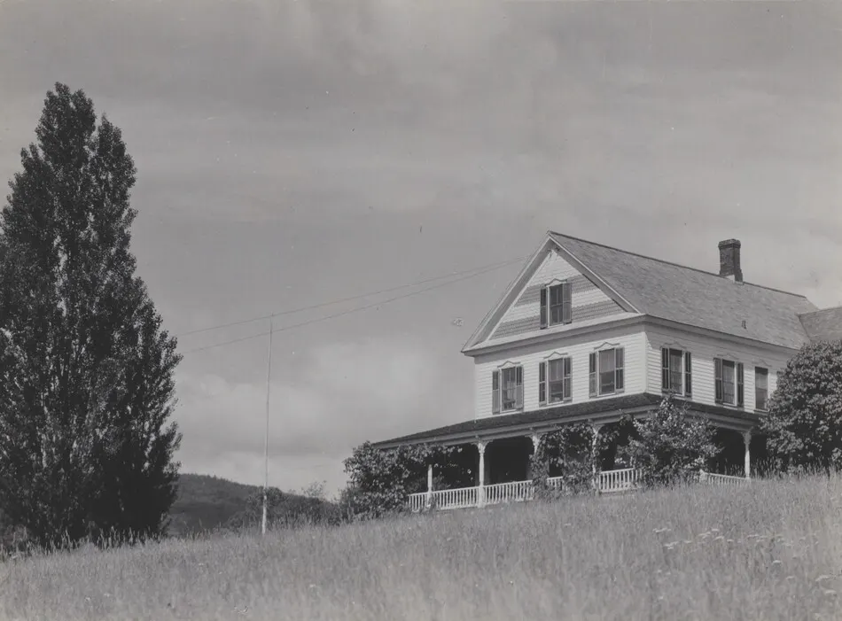 House on the Hill, Lake George by Alfred Stieglitz