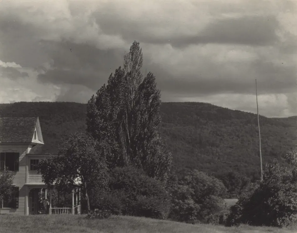 House and Trees, Lake George by Alfred Stieglitz
