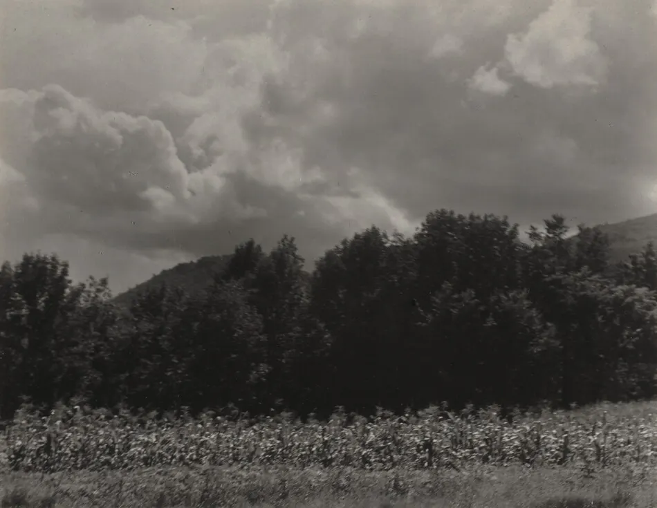 Lake George by Alfred Stieglitz