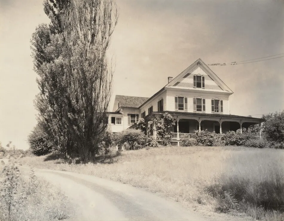 House and Poplars, Lake George by Alfred Stieglitz