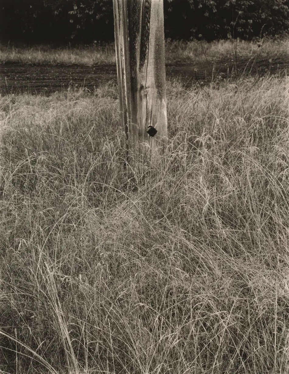 Grass and Flagpole by Alfred Stieglitz