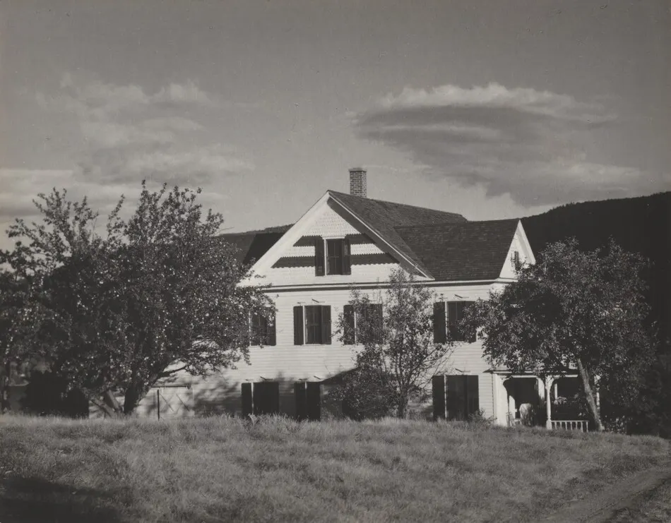 House and Trees, Lake George by Alfred Stieglitz