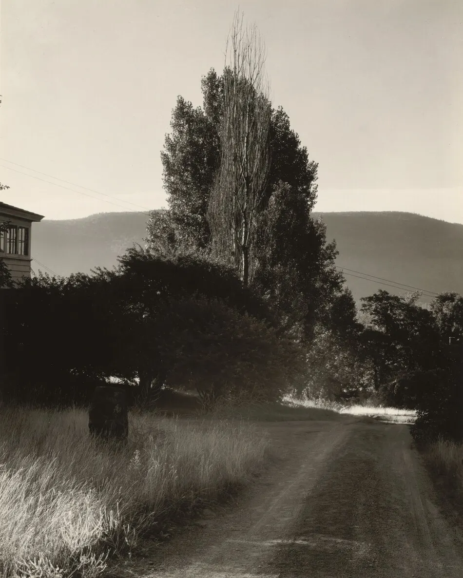 House and Poplars, Lake George by Alfred Stieglitz