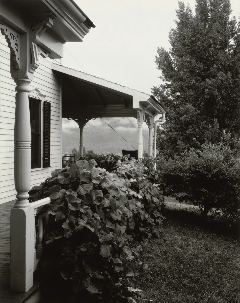 House and Grape Leaves by Alfred Stieglitz