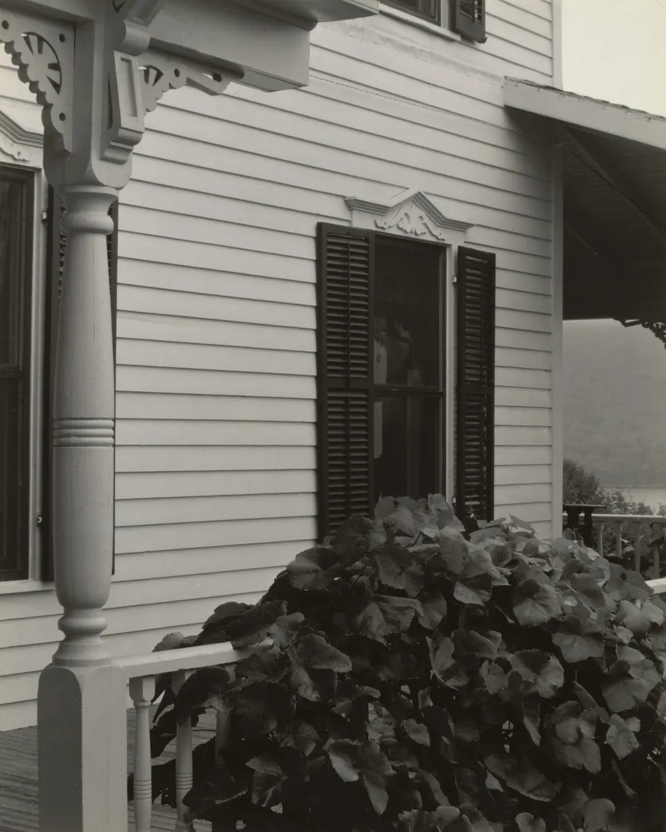 House and Grape Leaves by Alfred Stieglitz