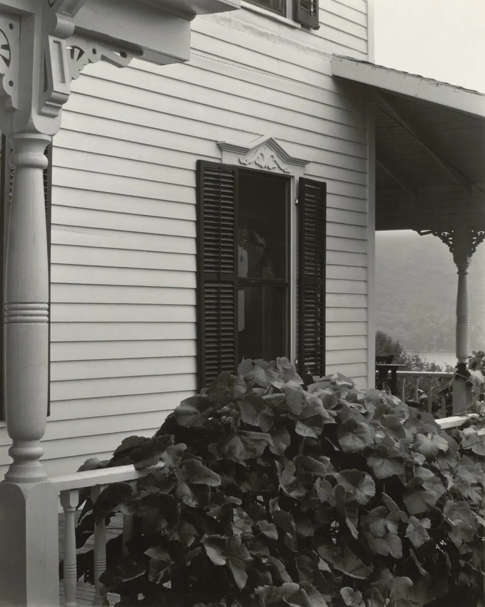 House and Grape Leaves by Alfred Stieglitz