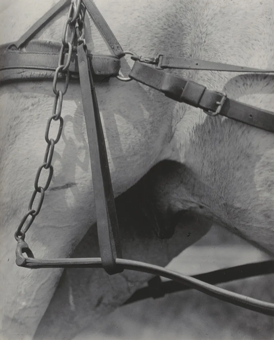 Spiritual America or Songs of the Sky A1 by Alfred Stieglitz