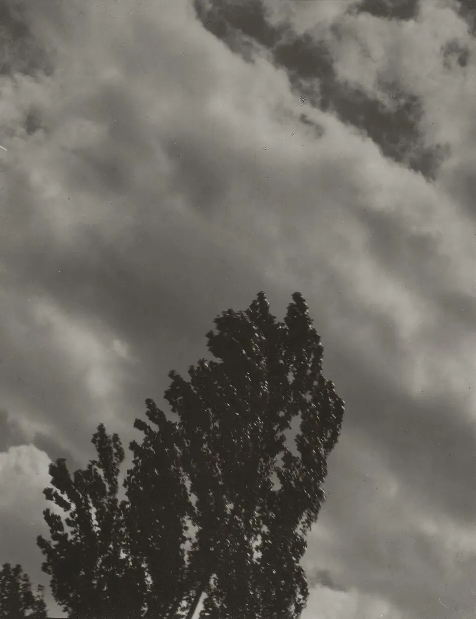 Portrait—K.N.R., No. 1 or Songs of the Sky C1 by Alfred Stieglitz