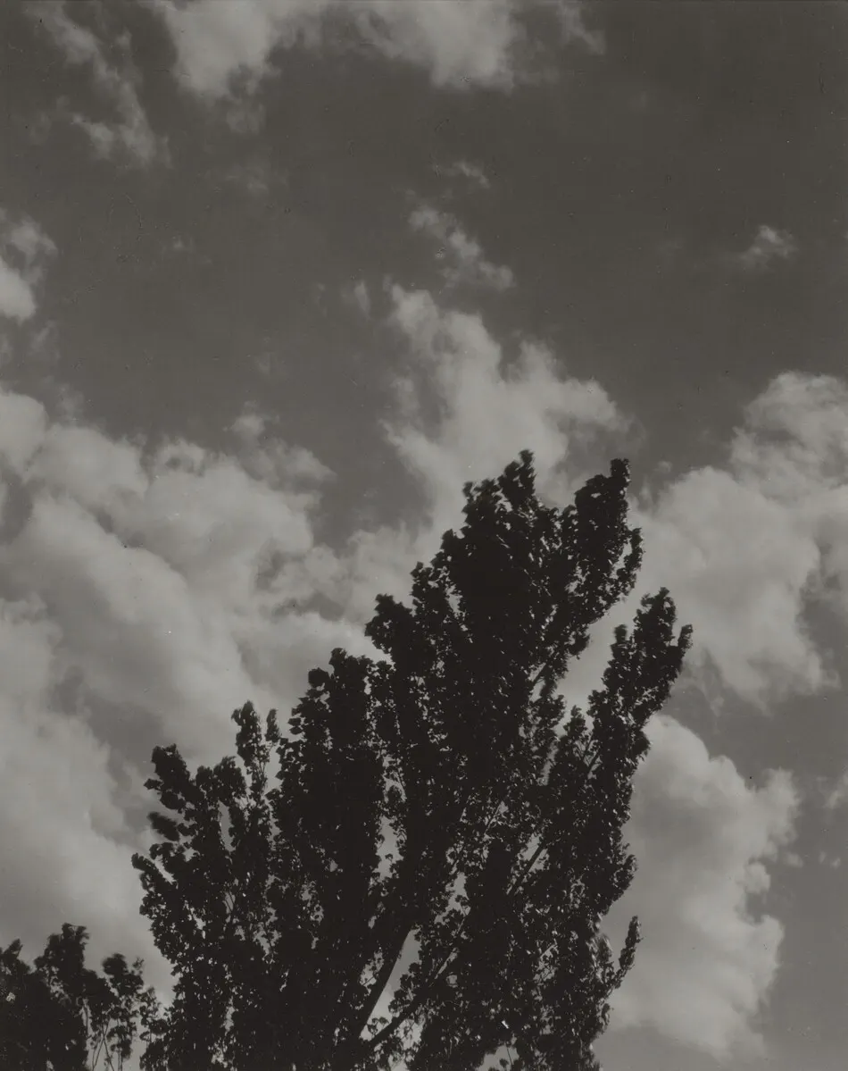 Portrait—K.N.R., No. 2 or Songs of the Sky C2 by Alfred Stieglitz