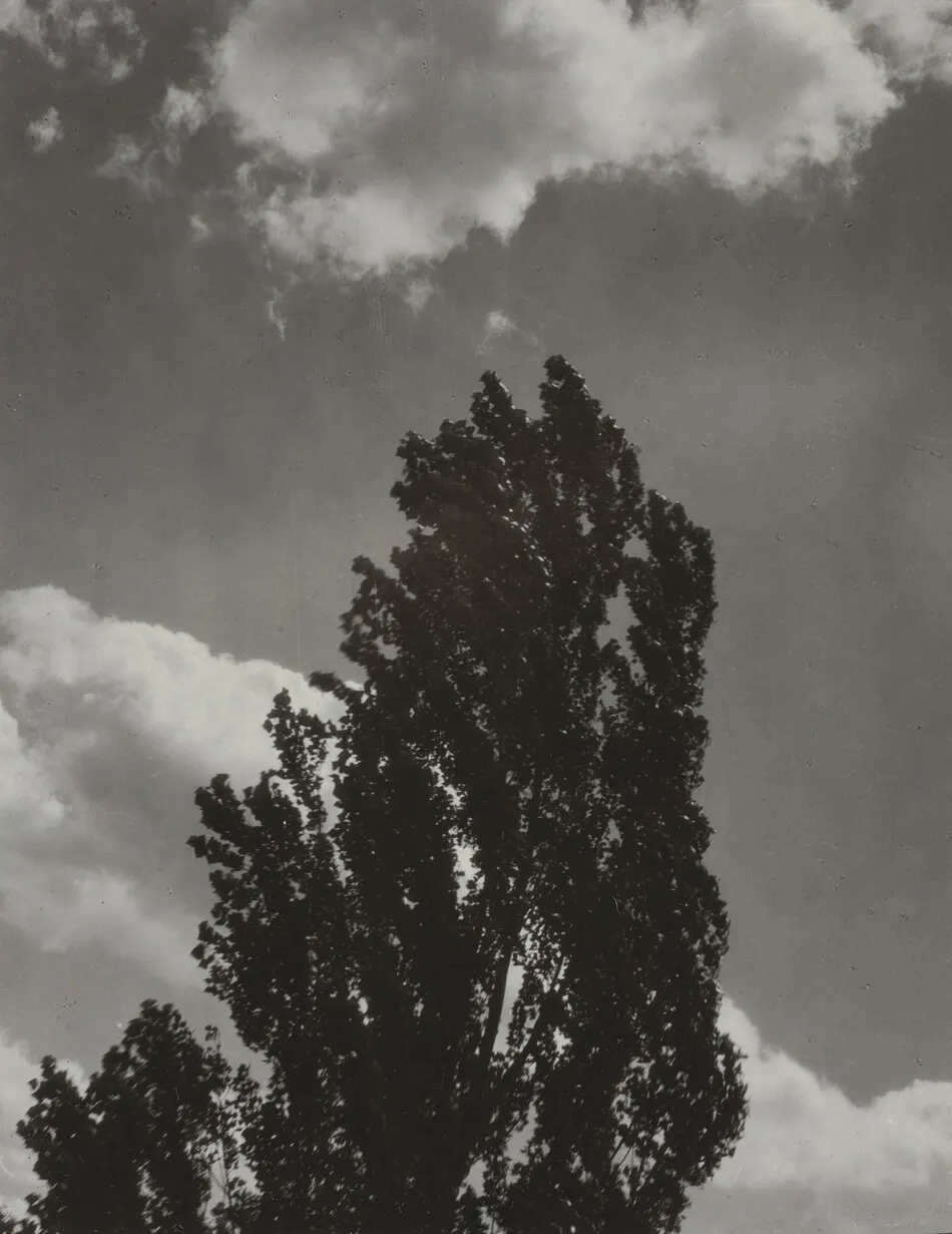 Portrait—K.N.R., No. 3 or Songs of the Sky C3 by Alfred Stieglitz