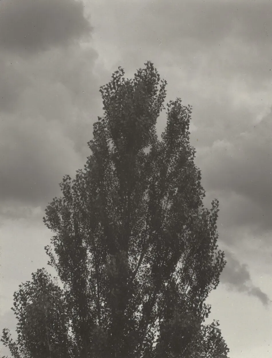 Portrait—K.N.R., No. 4 or Songs of the Sky C4 by Alfred Stieglitz