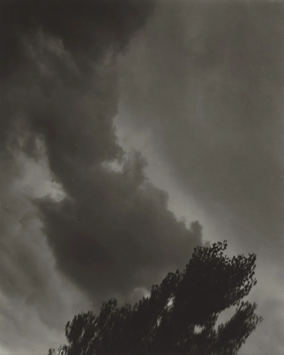 Portrait—K.N.R., No. 5 or Songs of the Sky C5 by Alfred Stieglitz