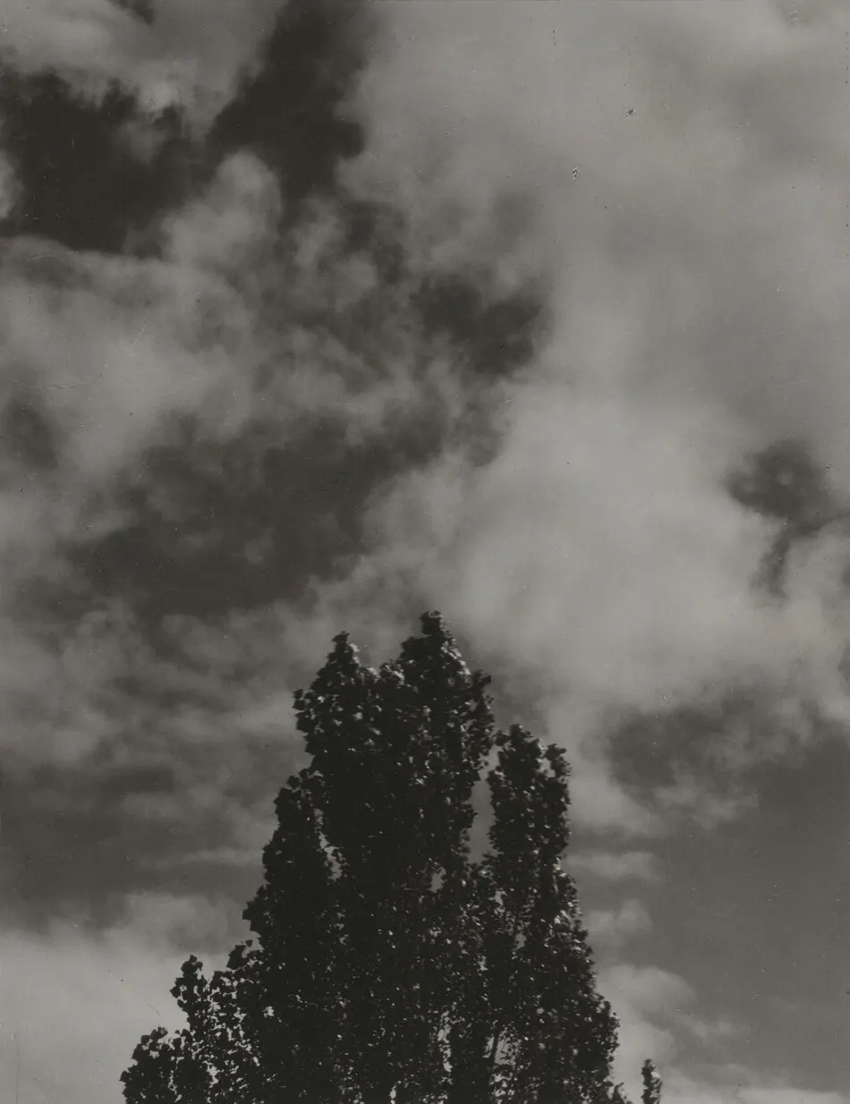 Portrait—K.N.R., No. 6 or Songs of the Sky C6 by Alfred Stieglitz