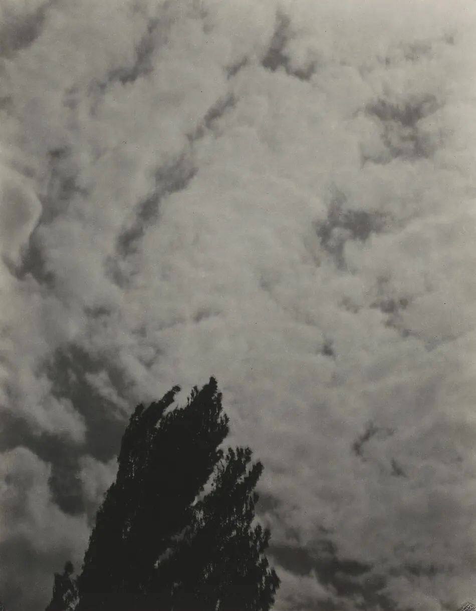 Songs of the Sky P2 by Alfred Stieglitz