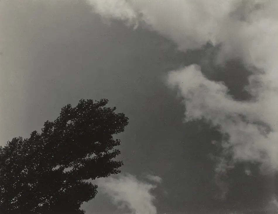 Songs of the Sky and Trees by Alfred Stieglitz