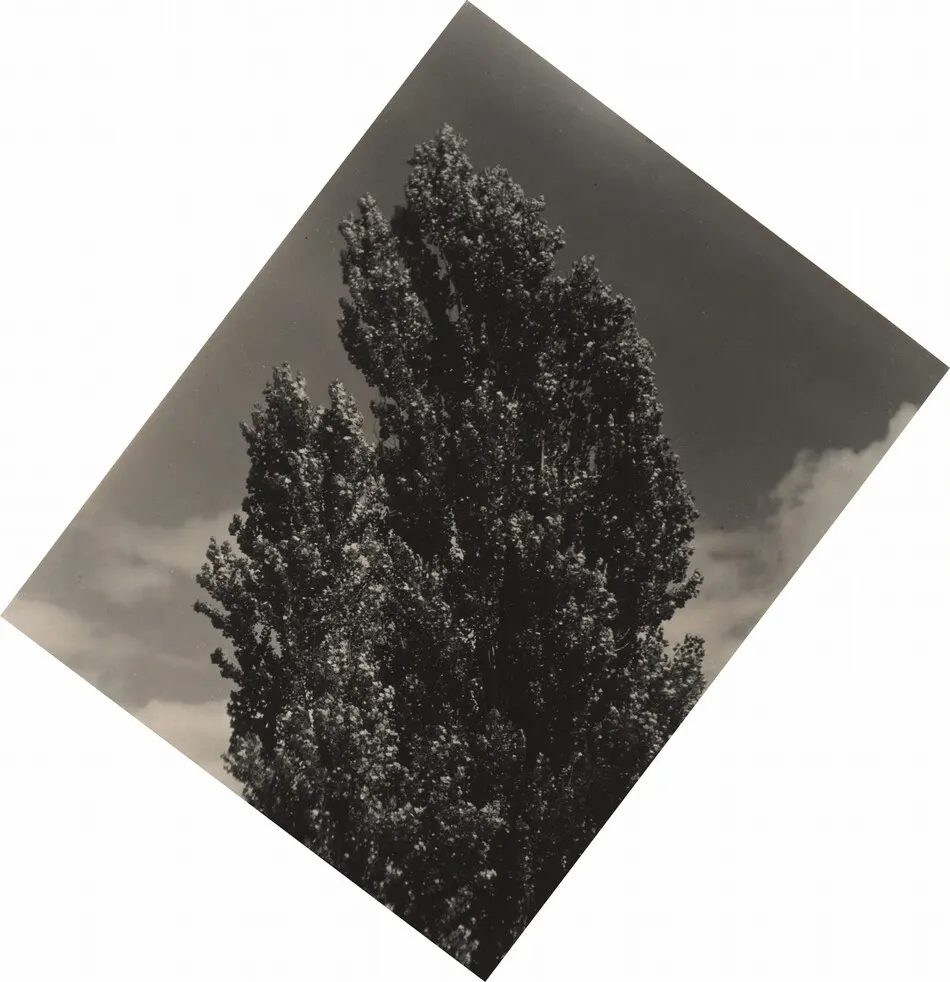 Equivalent by Alfred Stieglitz