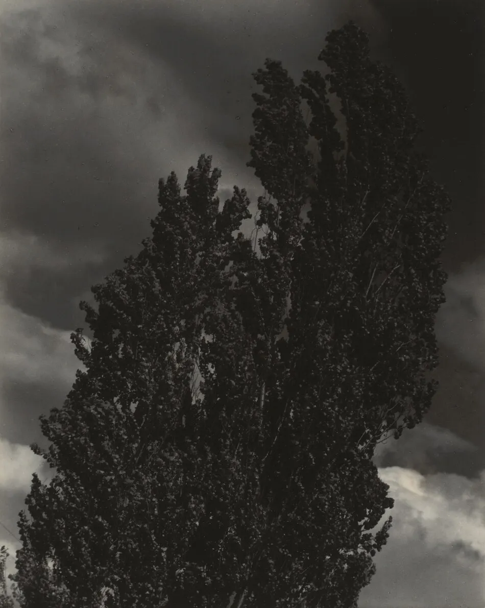 Equivalent by Alfred Stieglitz