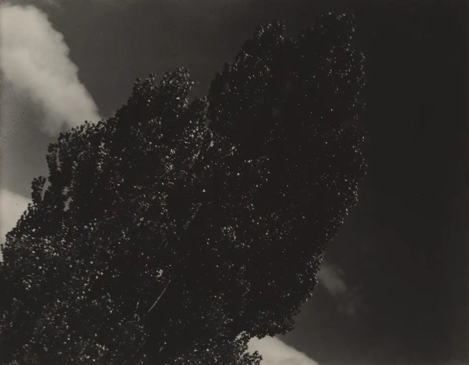 Equivalent by Alfred Stieglitz