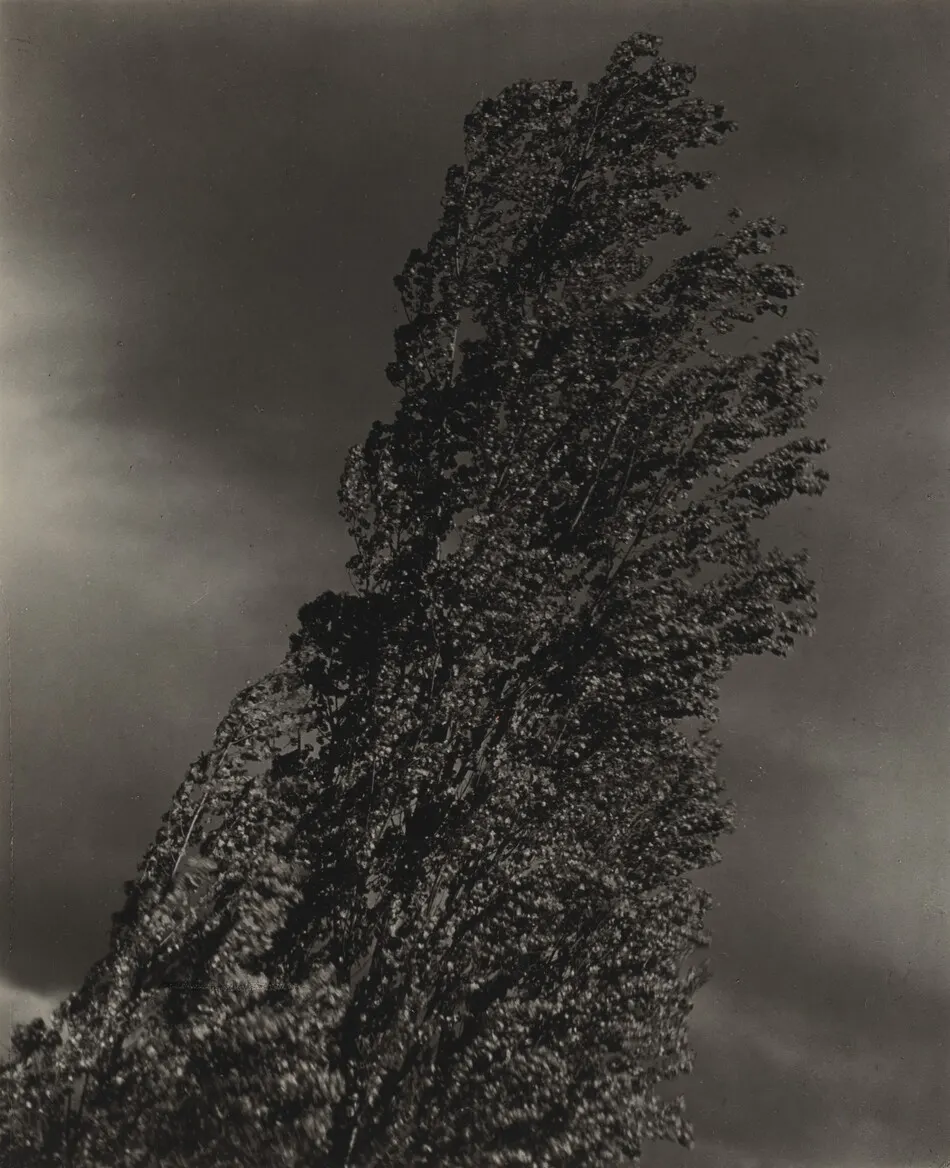 Equivalent by Alfred Stieglitz