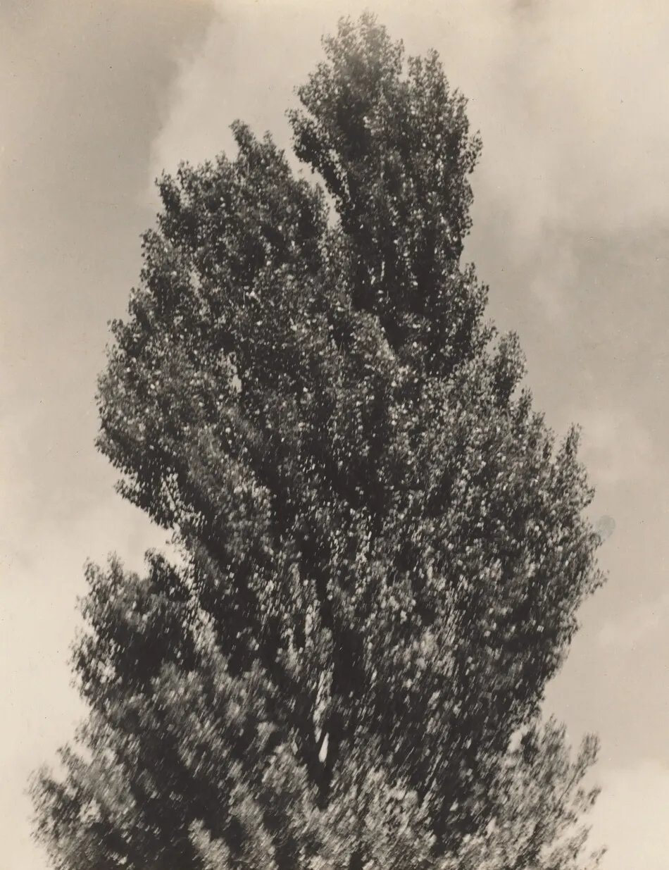 Equivalent by Alfred Stieglitz