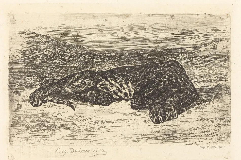 Tiger Sleeping in the Desert (Tigre couché dans le désert) by Eugène Delacroix